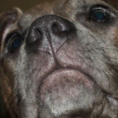 Make Sure They Know Its DnB 2 - The Example