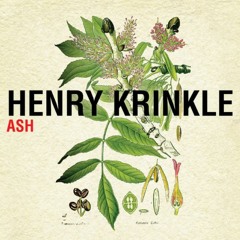 Henry Krinkle - Ash
