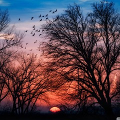 That Look In Your Eyes