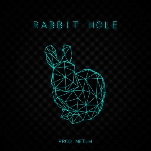 Rabbit Hole (prod.Netuh)