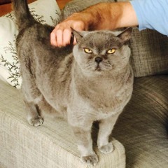 BOBBY NOW ft. THELASTBOOSIELEFT