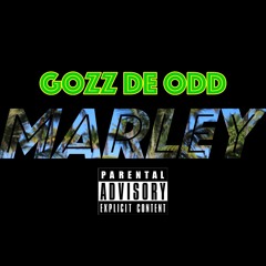 Marley (Prod. By Kid Ocean)