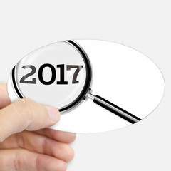 The Examined Year: 2017