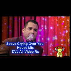 Soavé - Crying Over You (House Mix)