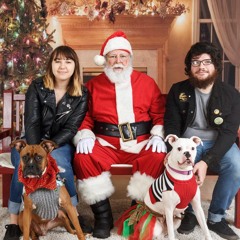 Christmas lights (Paul Baribeau)