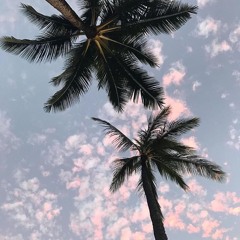 $uicide Doors ❄️✨