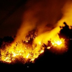 I Won't (I Believe by Tears for Fears Vaporwave Remix)