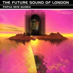 The Future Sound Of London - Papua New Guinea (N360 Remix)