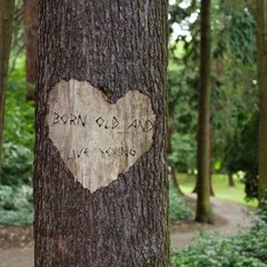 BORN OLD AND LIVE YOUNG