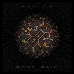 Radice - Inner World