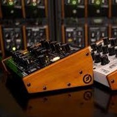 Moog Minitaur Eventide Space (Modechoverb) - Noodle