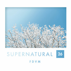 Supernatural 26 by FDVM