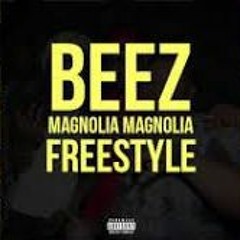 Playboi Carti - Magnolia (BEEZ Remix)