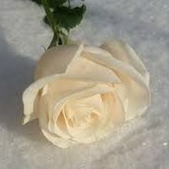 Мне Кажется Порою Что Любовь...