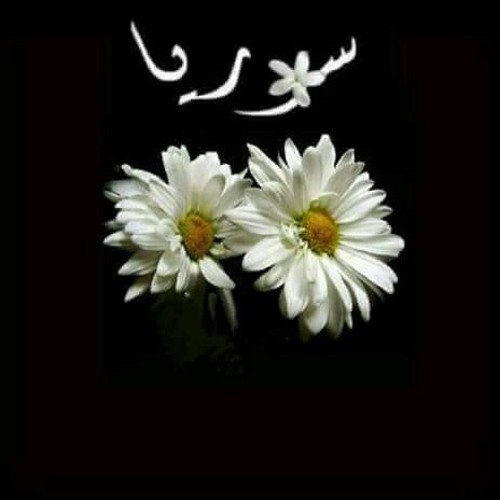 سوري قديم..للمبدع سماعيل تمر.والراقي قصي خولي