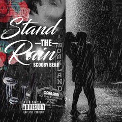 Stand The Rain