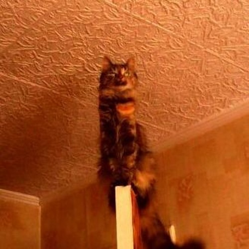 2017 - 12 - 11 - --21 - 42 - (2017 - 12 - 13 - --22 - 34 - Remix)(2017 - 12 - 22 - -21 - 37 - Remix)