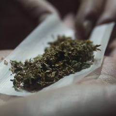 Bendita María - 2016