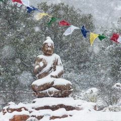 Christmas Facebook Live Stream