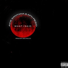 Ace Santana What I Said Ft. AFN Peso