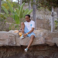 PARTYNEXTDOOR - Leave Jamaica [Prod. by TM88]