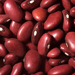 Red Beans (Demo)