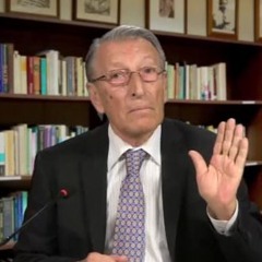 شاخه های این درخت کهن دوشنبه 4 دی