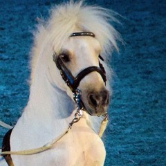 The Lulaby aka. A Christmas Jam