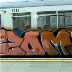 ZOMTRAIN