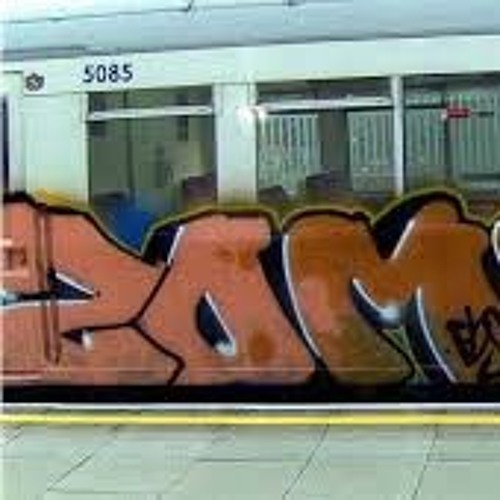 ZOMTRAIN
