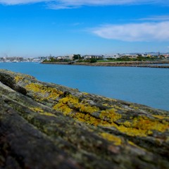 Best of Kevin Dibble