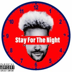 Stay For The Night