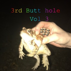 3rd Butthole vol 3