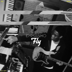 Fly