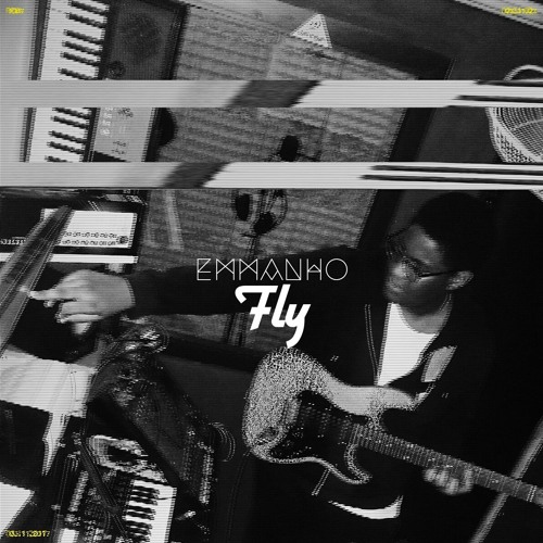 Fly