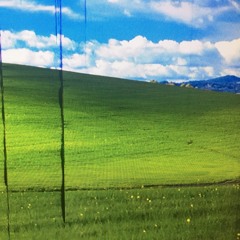 preguiça faz mentir