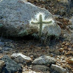 Silent Night (unedited recording)