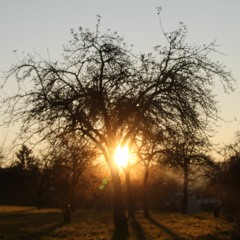 BURNING MAN Tribute Set II