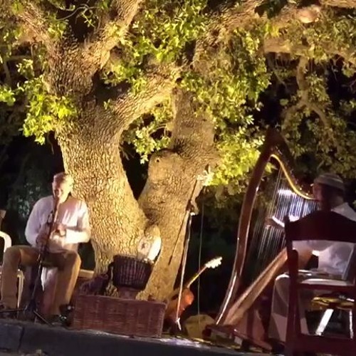 indian flute and Harp