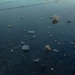 Ühe kivi elu (2004)