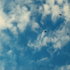 سورة الملك كاملة - القارئ الحاج ميثم التمار - Surah Mulk