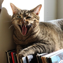 I Saw The Light (Todd Rundgren Cover)