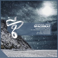 Spacebeat - Winter Phase (Stark & Sahin Remix)
