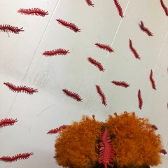 Fun In The Line