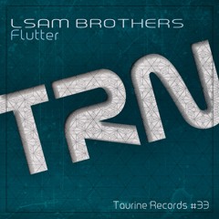 LSAM Brothers - Birds (Original Mix) Taurine Records Audio #33.1