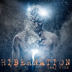 Hibernation