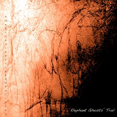 Elephant Ghosts' Trail