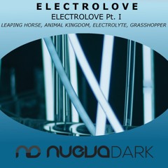 [NDRK017] Electrolove - Grasshopper  (Original Mix)