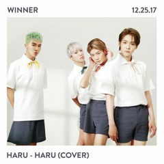 WINNER - 하루하루(HARU HARU) in 2017 SBS Gayodaejun