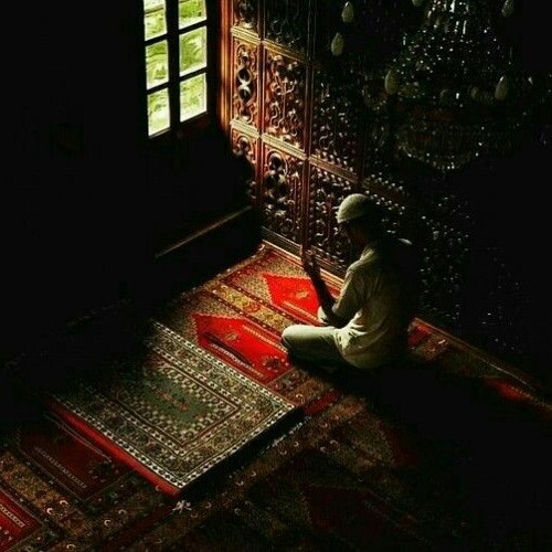 الشيخ كِشك "٢٣ سؤال".🌿